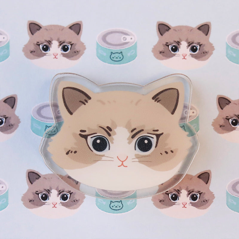 Original Cute Acrylic Cat Clips