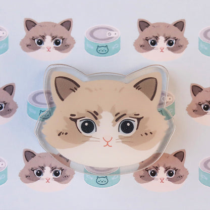 Original Cute Acrylic Cat Clips