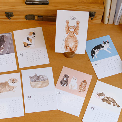 2026 Cat Snuggles Monthly Calendar Collection