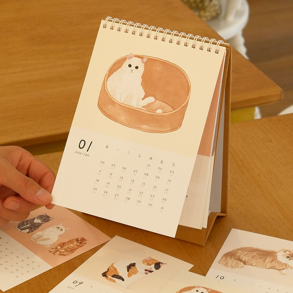2026 Cat Snuggles Monthly Calendar Collection