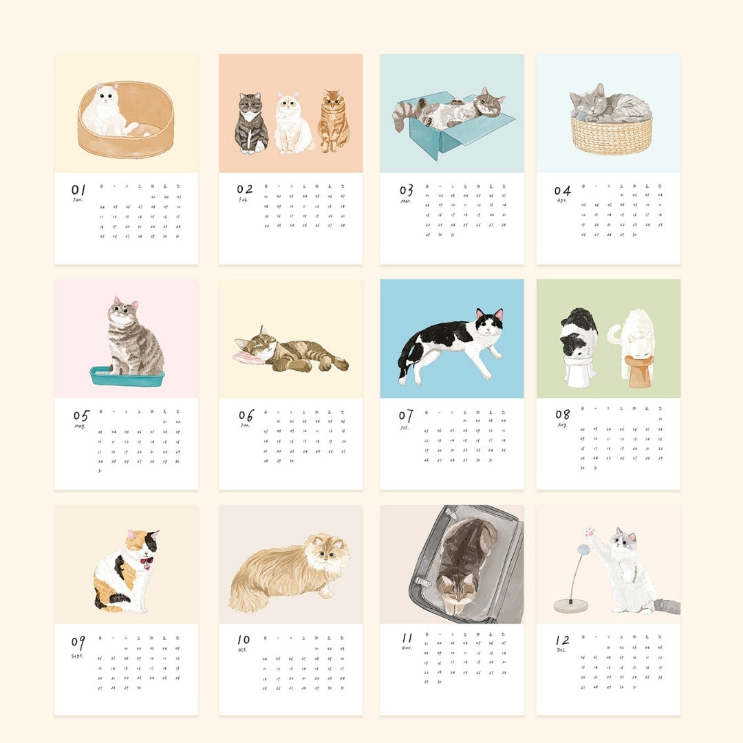 2026 Cat Snuggles Monthly Calendar Collection