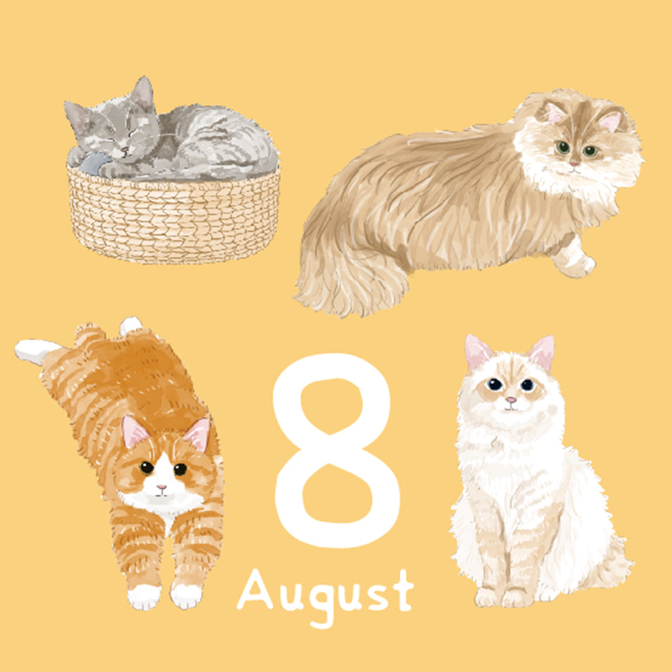 2026 Mini Calendar Note Pads