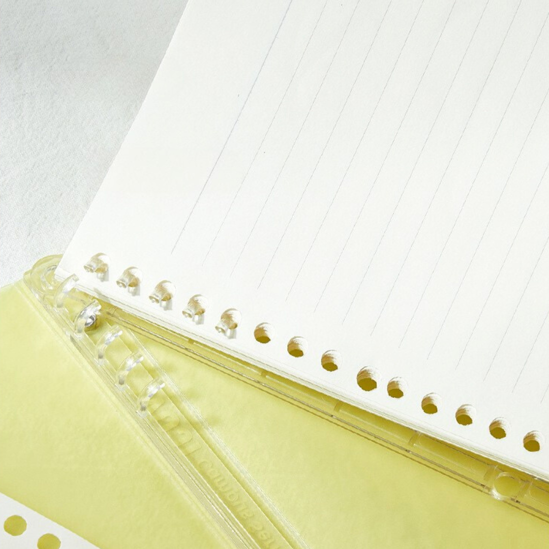 School Series B5/A5 Loose-Leaf Notebook