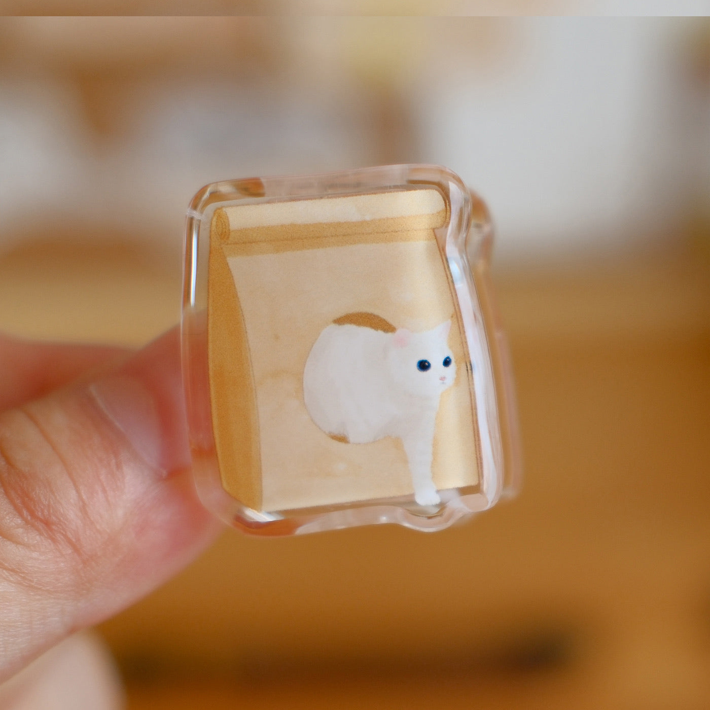 Kitty Pocket Clips – Acrylic Memo & Planner Clips