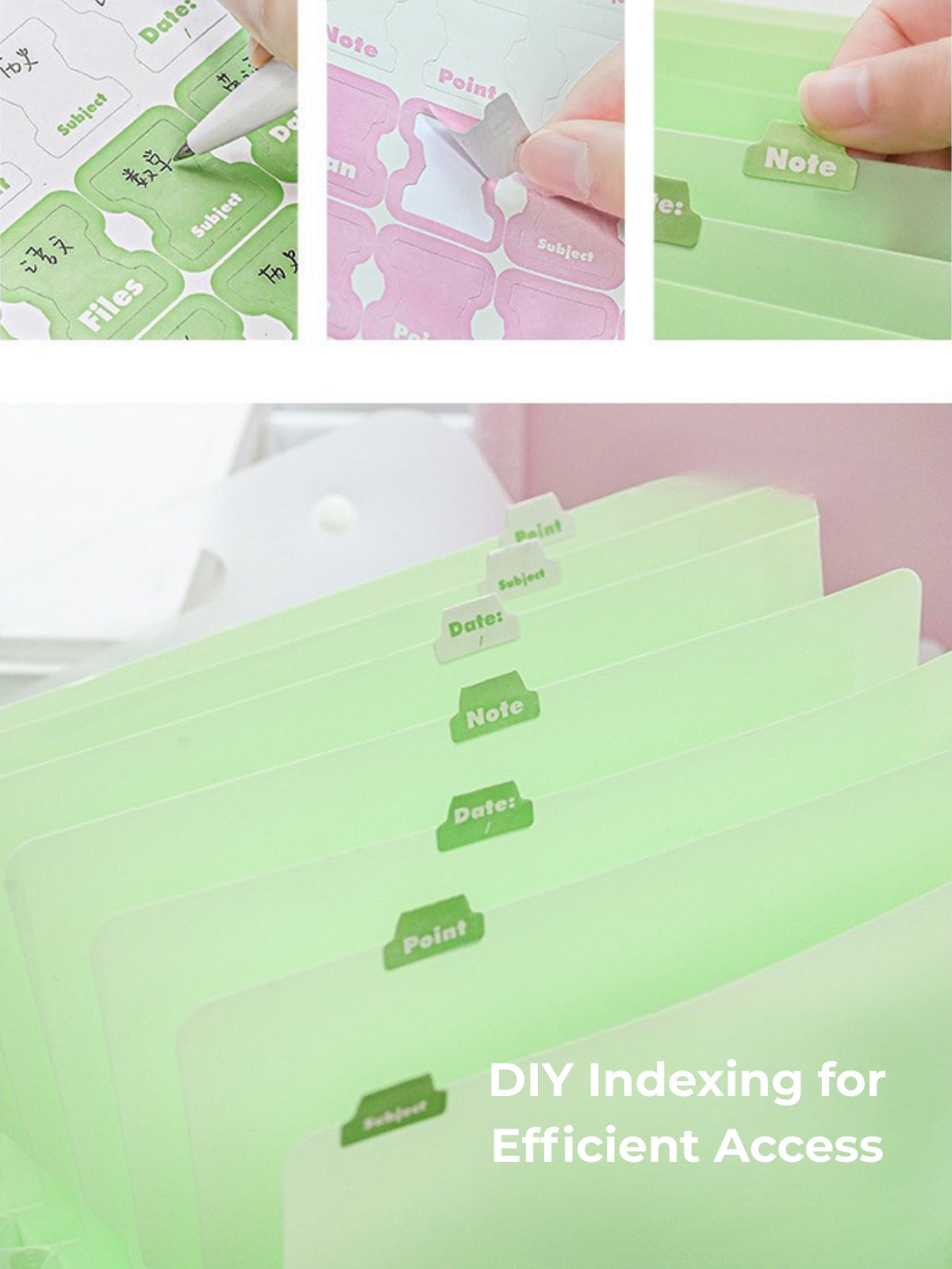 NOUS A4 Accordion File Folder