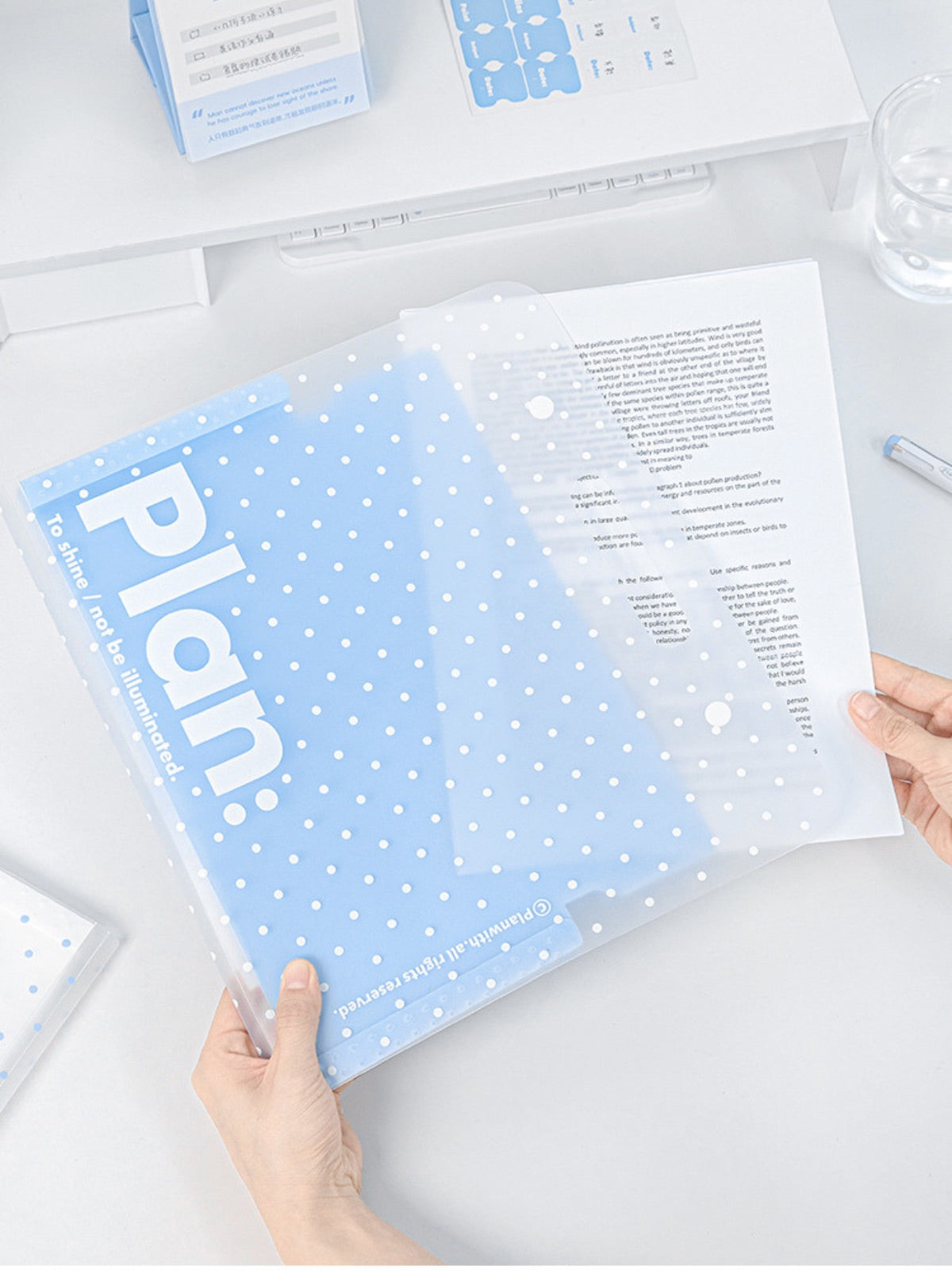 NOUS A4 Accordion File Folder - Polka Dot Edition