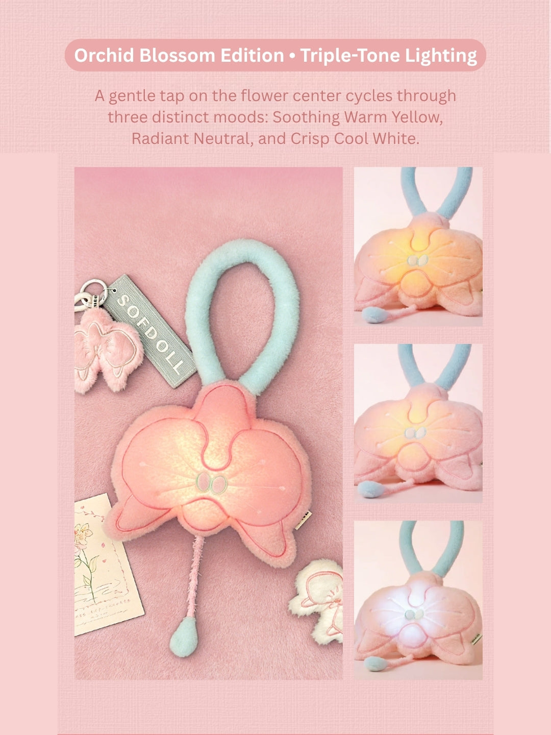The Original Fortune Bloom Velvet Night Lights