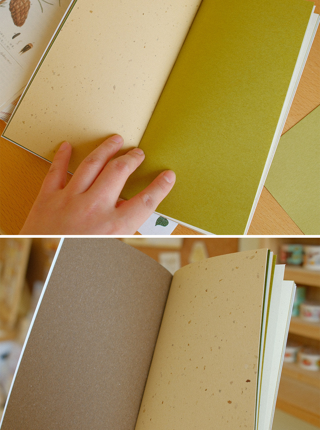 Botanical Mixed-Paper TN Journal & M5 Memo Pad